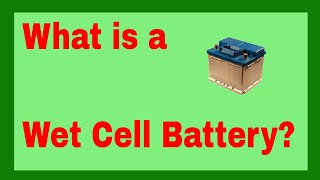 What is a WET CELL BATTERY  All about Wet Cell Battery [upl. by Yves192]