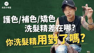 你洗髮精用對了嗎護色補色矯色洗髮精差在哪 l 《光在小學堂》 [upl. by Gunning328]