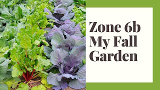 The Fall Garden Zone 6b  What I plant When  Presentation [upl. by Amari]