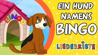 Bingo  Kinderlieder zum Mitsingen  Liederkiste [upl. by Atrim]