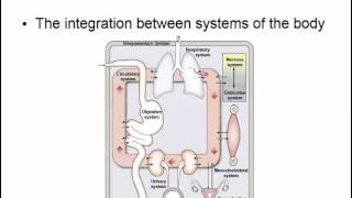 Physiology Intro Chapter 1 [upl. by Siduhey]