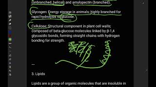 Section 1 biological molecules aqa a level biology revision [upl. by Iatnahs]