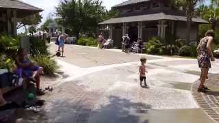 Hilton Head Island Coligny Beach Park Forest Beach [upl. by Johna]