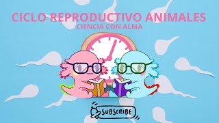 CICLO REPRODUCTIVO EN ANIMALES [upl. by Snyder33]