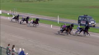 Victoria Park Wolvega 11092020 Selectieproef 1 All in Love  Dion Tesselaar [upl. by Goodrich]