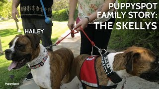 PuppySpot Family Story The Skellys [upl. by Curr481]