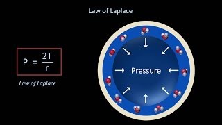 Surface Tension and Surfactant Fluid Mechanics  Lesson 12 [upl. by Belanger]