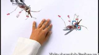 Repelente de mosquitos quotRevista del Consumidor TVquot 305 [upl. by Kress]