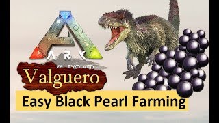 ARK Valguero  Easy Black Pearl amp Silica Pearl Farming Guide [upl. by Luci555]