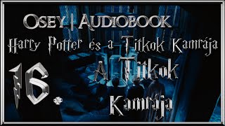 Harry Potter és a Titkok Kamrája hangoskönyv  16 fejezet [upl. by Omura]