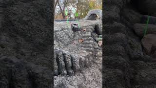 RC Truck SCX24 tricky gate got skills Outdoor Crawling in Michigan [upl. by Leanor372]