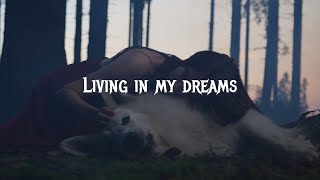 Divlje jagode  Living in my dreams Official lyric video [upl. by Amliv312]