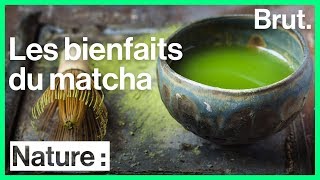 Les multiples bienfaits du matcha [upl. by Binnings]