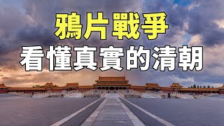 鴉片戰爭（合集） 3小時帶您瞭解真實的鴉片戰爭 [upl. by Ahsotan]