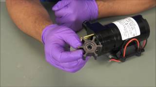 Jabsco 18590 Series Macerator Service Kit Installation Video [upl. by Livvi]