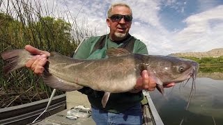 Channel Catfishing in Washington [upl. by Kram]