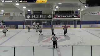 University of Toledo Hockey vs Northwood University 1112024 [upl. by Trudey257]