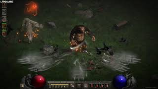 Diablo 2 Resurrected All Druid Skills Showcase  D2R II [upl. by Genisia]