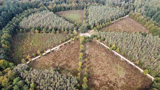 A drone flight above various nice spots in Amerongen on the 12th of October 2024 [upl. by Obeng]