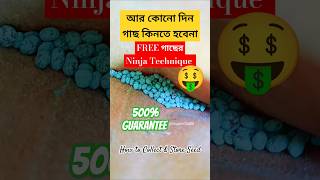 আর কোনোদিনও গাছ কিনতে হবেনা seedscollectseedsvegetablegardenfreegrowbaggardeninggardenupdiy [upl. by Unam685]