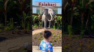 Wow  Kalahari Resorts Waterpark Wisconsin Dells family wisconsin waterpark vacation kalahari [upl. by Enyalahs]