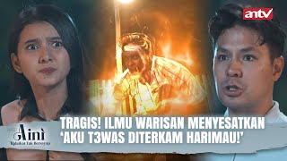 DI BALIK KISAH SILUMAN HARIMAU PEMBAWA PETAKA  Aini Malaikat Tak Bersayap ANTV Eps 48 FULL [upl. by Byers220]