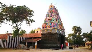 Mandaitivu  Thiruvenkadu Siththi Vinayagar Kovil [upl. by Cassi388]