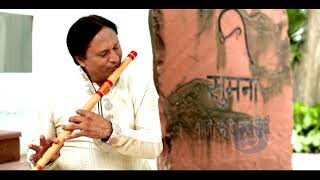 Vaishnav Jan To  Instrumental Folk  Gandhi  150 Years  Celebrations Doordarshan [upl. by Kant926]