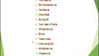 Barnoota Guyyootaa Torbaanii Jiootaa fii Woqtiilee Afaan Oromootiin [upl. by Notsnorb]