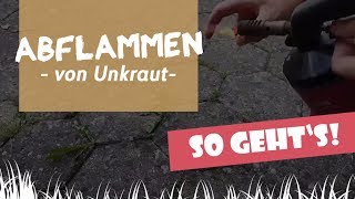 ☀ Unkraut abflämmen TEST  Unkrautvernichtung durch Abflammen möglich GartenundFreizeitde [upl. by Anasxor906]