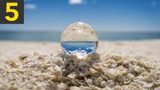 Top 5 Most BEAUTIFUL Beach Shells [upl. by Adnuhser]