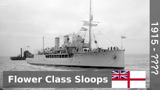 Flower Class WW1 Sloops  Guide 374 [upl. by Given]