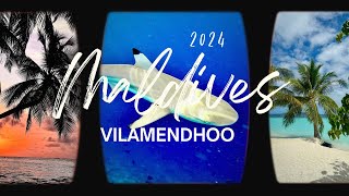 MALDIVES 2024  VILAMENDHOO ISLAND RESORT  JUNE TO JULY  SOUTH ARI ATOLL  SNORKELING  HOUSE REEF [upl. by Ylrebmic]