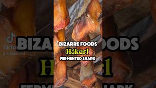 Weird Foods Hákarl Fermented Shark hakarl weirdfood iceland weird [upl. by Salomon]