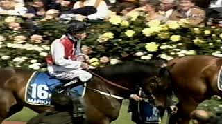 1997 VRC FLEMINGTON Melbourne Cup FULL COVERAGE [upl. by Nakashima]