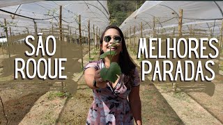 SÃO ROQUE MELHORES PONTOS TURÍSTICOS DA ROTA DO VINHO [upl. by Birkner]