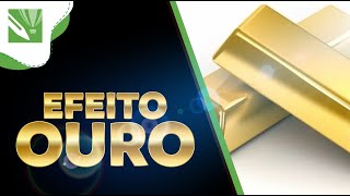 EFEITO OURO CORELDRAW GRADIENTE DEGRADÊ [upl. by Maurie]