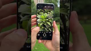 I Tested the Vivo X200 Pros Insane Zoom Camera [upl. by Erodoeht]