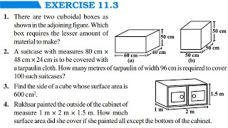 Chapter 11 Mensuration  Full Exercise 113 amp Basic Concepts  Class 8 Maths RBSE CBSE NCERT [upl. by Luaped]