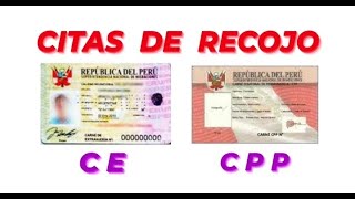 COMO PEDIR CITA DE RECOJO DE CPP Y CE [upl. by Koss626]