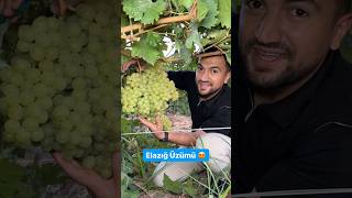 Elazığ quotÜZÜMÜquot 🍇 [upl. by Tolmann]