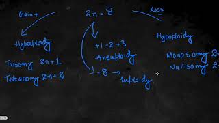 Chromosomal Abbreations Explained [upl. by Anallij124]