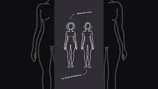 ROMANTIC vs SOFT CLASSIC  Kibbe Body Type Tiebreakers [upl. by Ekusoyr]