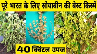 सोयाबीन की उन्नत किस्में  Soybean variety  Soybean seeds  Hybrid soybean  Soyabean ki kheti [upl. by Esiuolyram]