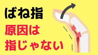 【ばね指・腱鞘炎】を手術せずに自分で治す方法 [upl. by Leval452]