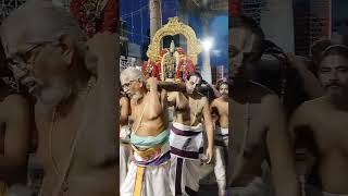 Thiruvelikani Parthasarthy Perumal Kovil Uthsavam [upl. by Enyaw]