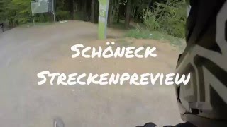 Streckenpreview  Schöneck Flowtrail [upl. by Harbed]