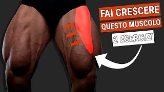 WORKOUT QUADRICIPITI 2 ESERCIZI per SVILUPPARLI COMPLETAMENTE Retto Femorale [upl. by Enalb13]