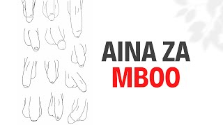 AINA ZA MBOO [upl. by Nordine]