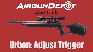 Gamo Urban How to Adjust and Modify the Trigger [upl. by Korry]